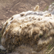 Illustration for article titled This is what 8,000 cubic yards of rock being blasted looks like